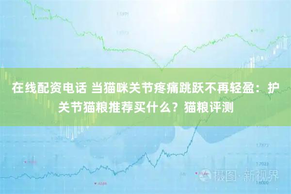 在线配资电话 当猫咪关节疼痛跳跃不再轻盈：护关节猫粮推荐买什么？猫粮评测