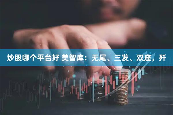 炒股哪个平台好 美智库：无尾、三发、双座，歼